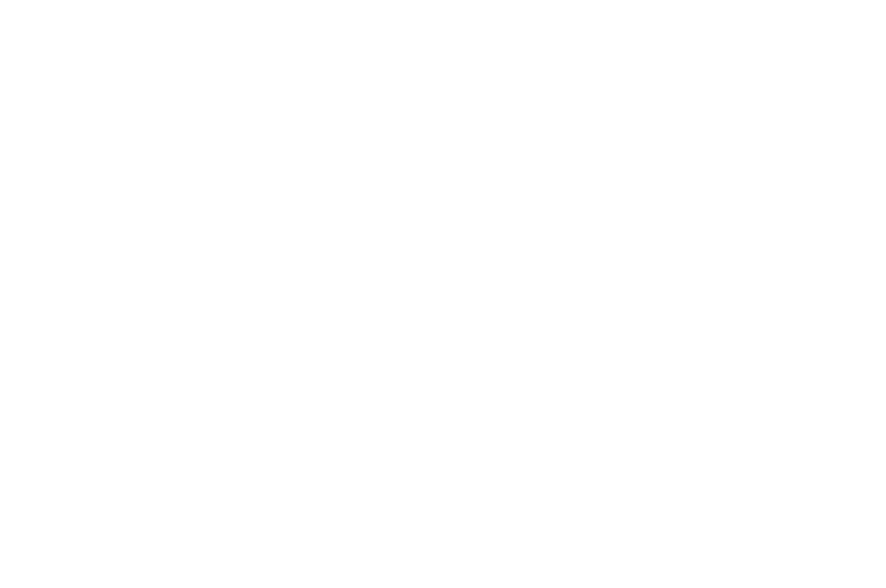 Best Director — White Unicorn International Film Festival